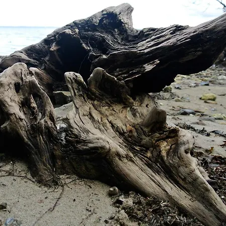 8 Person In Hejls-by Traum Nyaraló *