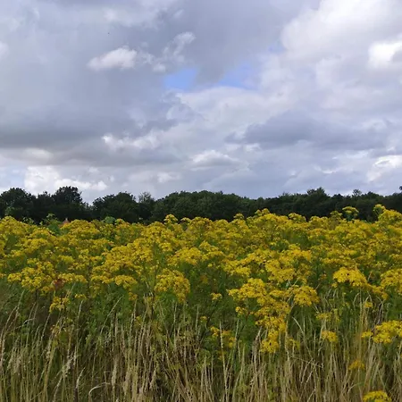 8 Person In Hejls-by Traum