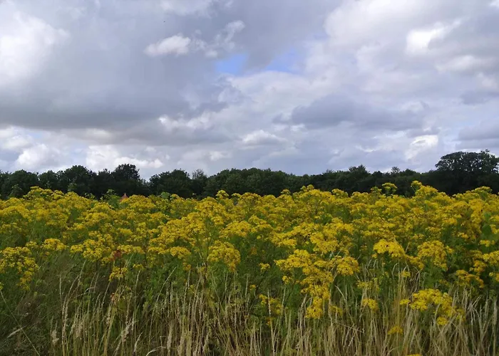 8 Person In Hejls-by Traum