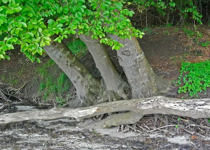 Casa vacanze 8 Person In Hejls-by Traum Hejls